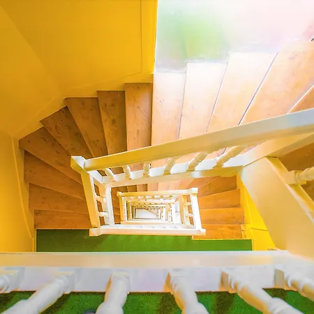 Olympic Paris By Patrick Hayat